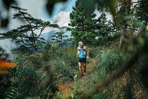 BIB: 
                            <button type="button" onclick="openModal(25258293)" class="btn btn-primary btn-sm float-right btn-popup" data-toggle="modal" data-target=".modal-high-quality">
                        <i class="fas fa-shopping-cart"></i> Add to Cart
                    </button>
                                            <button type="button" onclick="isThisMe(25258293, true)" class="btn btn-success btn-sm float-right btn-popup btn-isme hidden" data-toggle="tooltip" data-placement="bottom" title="นี่คือรูปของคุณใช่ไหม คลิกที่นี่เพื่อเอาเข้าอัลบั้ม">
                        <i class="fas fa-plus"></i> Add to album
                    </button>
                    <button type="button" onclick="isThisMe(25258293, false)" class="btn btn-warning btn-sm float-right btn-popup btn-isnotme hidden">
                        <i class="fas fa-ban"></i> Remove from album
                    </button>